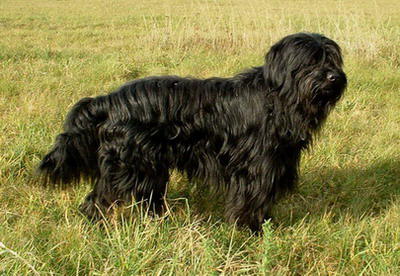 Abric de las Landas del Sur