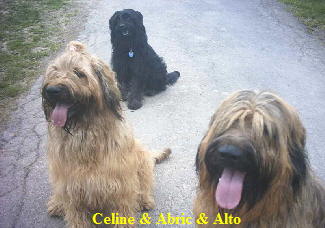 Abric und Alto 08.05.06 009