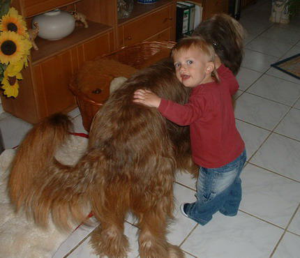 Alto & Tyler