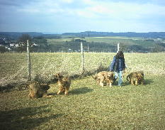 Eppelborn Briard 12.02.06 029