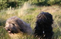 Jule & Lotta