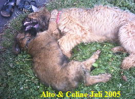 Steinkaulen Juli 2005 035