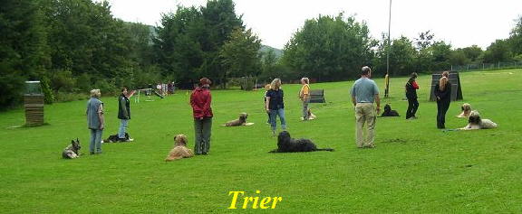 Trier Hundeplatz