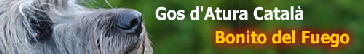 bannergos