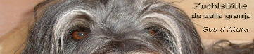 kopf_loscha_banner5