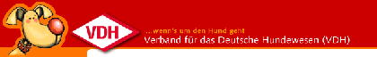 vdh-logogif