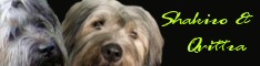 bannerliten1
